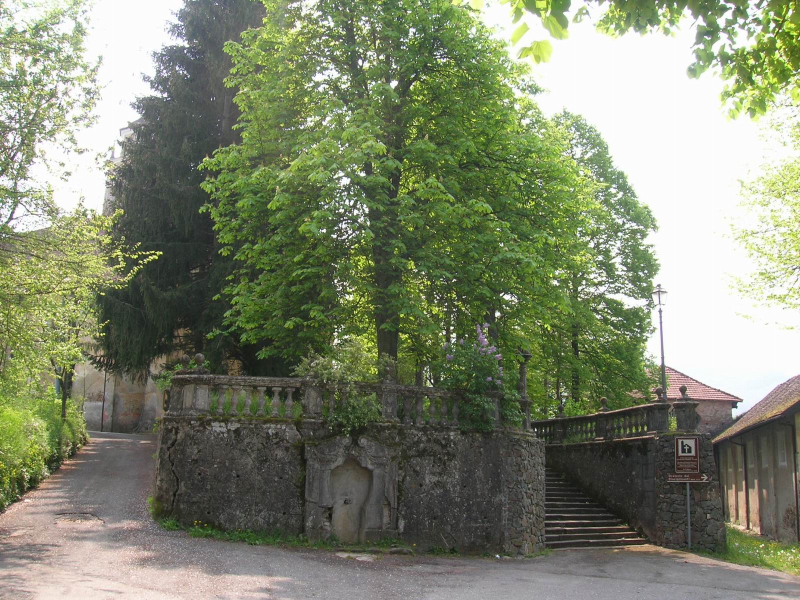 Sasello